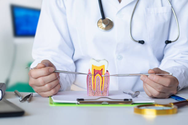 Best Emergency Dental Surgery in Euharlee, GA